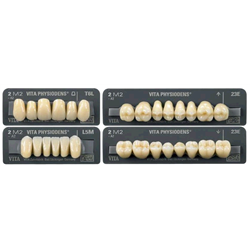 DENTI PHYSIODENS POSTER.3D...