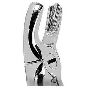 PINZA X ESTRAZIONI 0100-18...