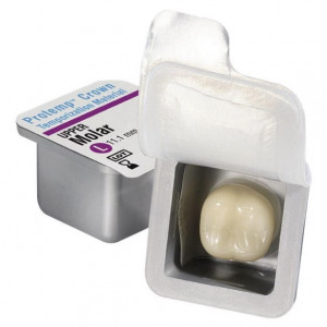 PROTEMP CROWN CUSPID L...