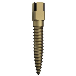VITI RRA-M3 DENTATUS DORATE...