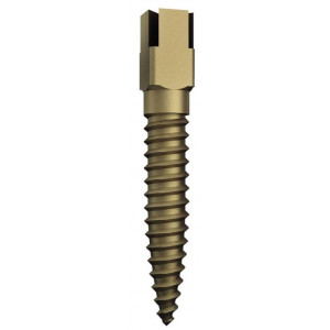 VITI RRA-S1 DENTATUS DORATE...