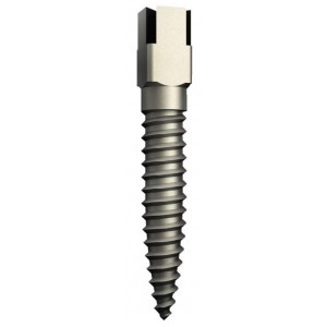 VITI TITANIO DENTATUS S3...