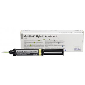 MULTILINK HYBRID ABUTMENT...