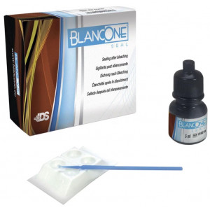 BLANCONE SEAL KIT  019010...