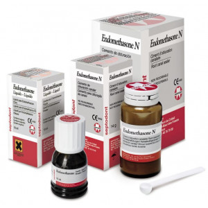 CEMENTO ENDOMETHASONE N...