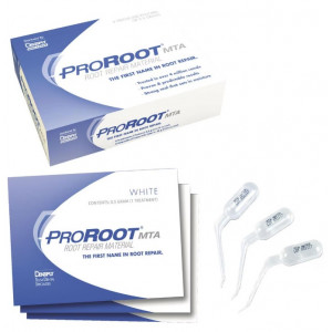 PRO-ROOT MTA gr.2 CEMENTO...