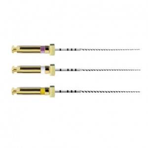 PATHFILE 21mm 013 Pz.6...