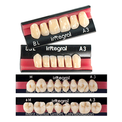INTEGRAL C4 "UBXS" INF. X 6...