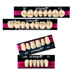 DENTI ARTEGRAL X8 (ARTEGRAL8)