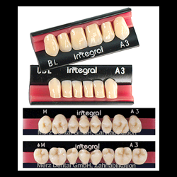 INTEGRAL B1 "UIS" INF. X 6...